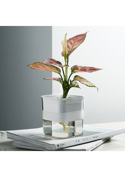 Puluz Plastik Saksı (Yurt Dışından) fiyatları