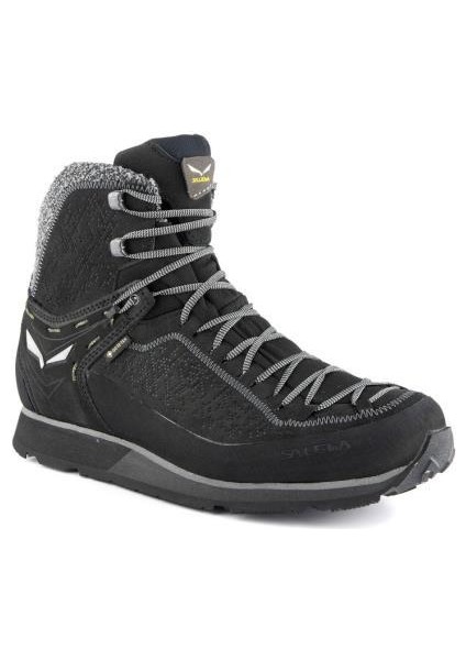 Mountain Trainer 2 Winter Goretex Erkek Bot modelleri