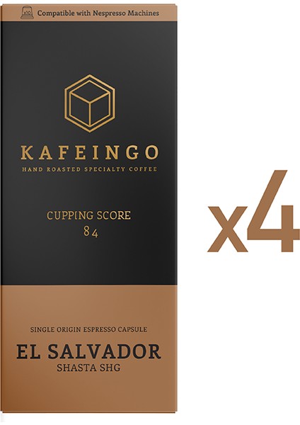 10'lu Kapsül Kutusu - El Salvador Shasta Shg x 4