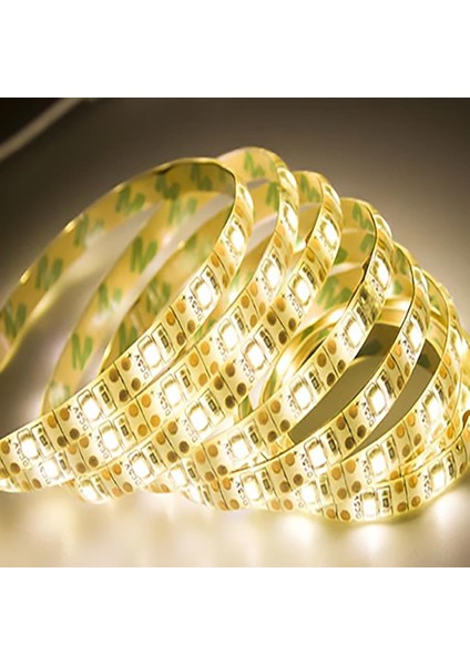 CT-4488 5 Metre 10 Çip Şerit LED Dış Mekan Günışığı