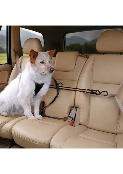 Pet Safe Petsafe Kurgo Oto Zip Line Emniyet Kemeri Siyah/kavuniçi K00032 modelleri