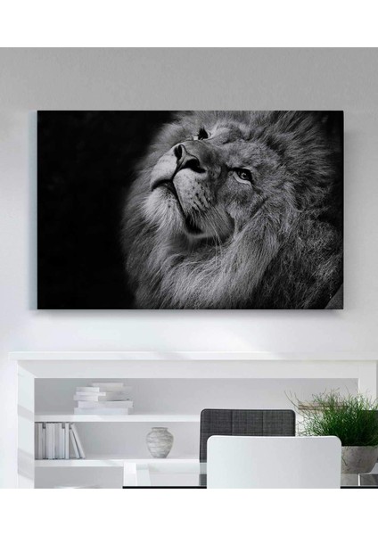 VeraStore Aslan Güzelliği Kanvas Tablo fiyatları