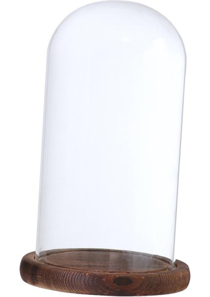 F Fityle Cam Manzara Çiçek LED Işık Süsleme Kapak Dome Ekran Standı _ Brown D (Yurt Dışından)