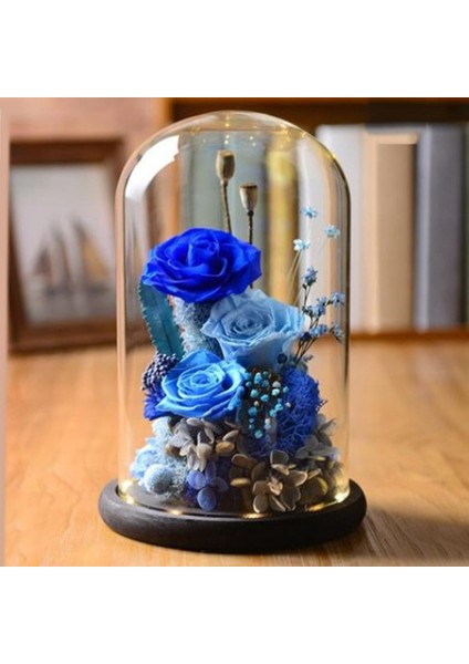 F Fityle Ekran Cam Dome Kapak Kavanoz Parti Festivali Düğün Decor_ Brown E (Yurt Dışından) fırsatları