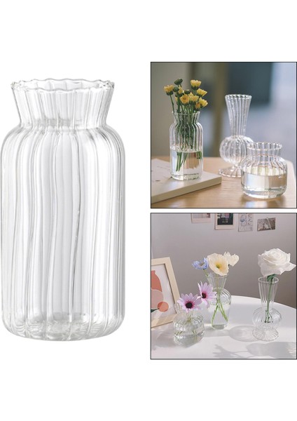 F Fityle Temizle Cam Çiçek Vazo Kök Bitki Kavanoz Masa Çiçek Ekran Dekor 5.5X12.5 cm (Yurt Dışından)