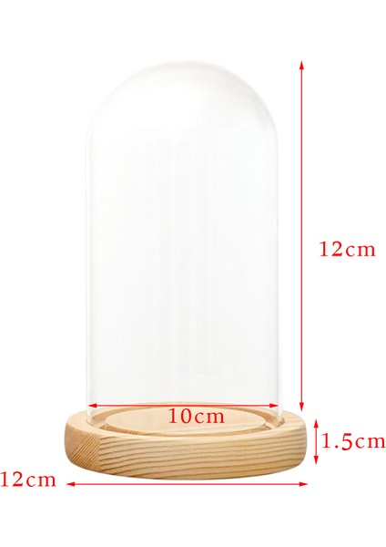 F Fityle Dekoratif Temizle Cam Cloche Çan Kavanoz Vitrin LED Ahşap Baz B Ile 10X12 cm (Yurt Dışından)