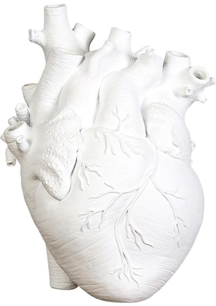 F Fityle Anatomik Kalp Vazo Reçine Saksı Masaüstü Süs Ev Raf Dekor-Yeni Beyaz 15X10.5X21 cm (Yurt Dışından) fiyatları