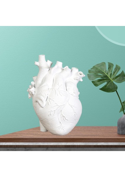 F Fityle Anatomik Kalp Vazo Reçine Saksı Masaüstü Süs Ev Raf Dekor-Yeni Beyaz 15X10.5X21 cm (Yurt Dışından) indirimleri