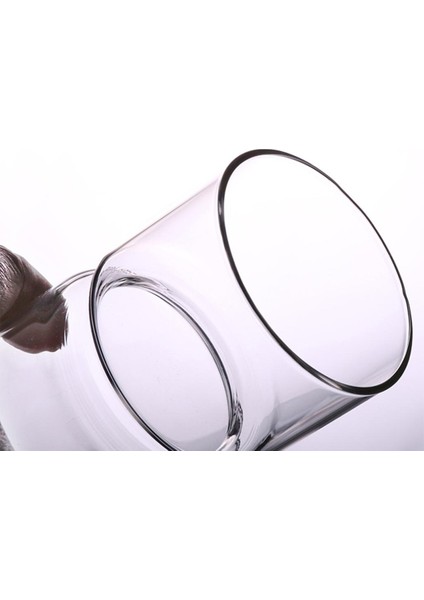 F Fityle Temizle Sümbül Cam Vazo Çiçek Ekici Pot Diy Teraryum Konteyner Dekor (Yurt Dışından) modelleri