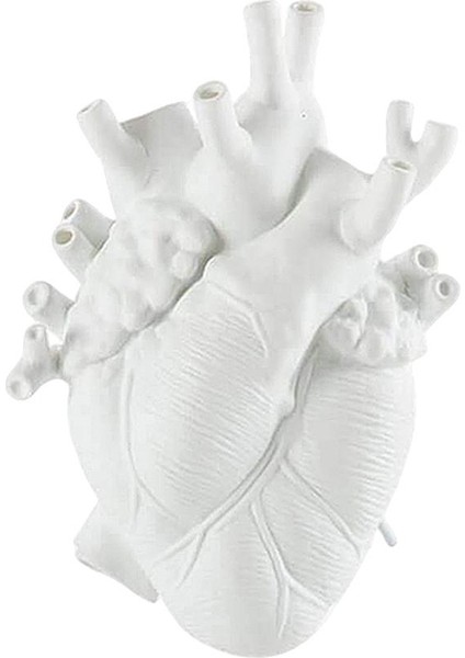 F Fityle Anatomik Kalp Reçine Heykeli Figürinler Saksı Ev Raf Masa Dekoru (Yurt Dışından)