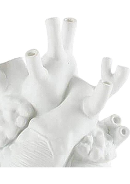 F Fityle Anatomik Kalp Reçine Heykeli Figürinler Saksı Ev Raf Masa Dekoru (Yurt Dışından) modelleri