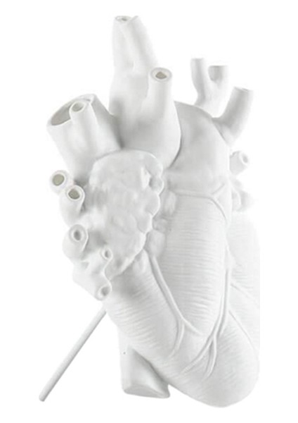 F Fityle Anatomik Kalp Reçine Heykeli Figürinler Saksı Ev Raf Masa Dekoru (Yurt Dışından) indirimleri