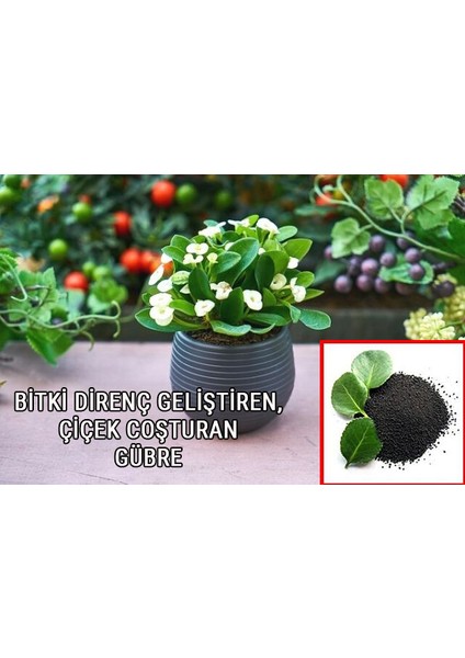 Çiçek Coşturan Gübre 15 kg