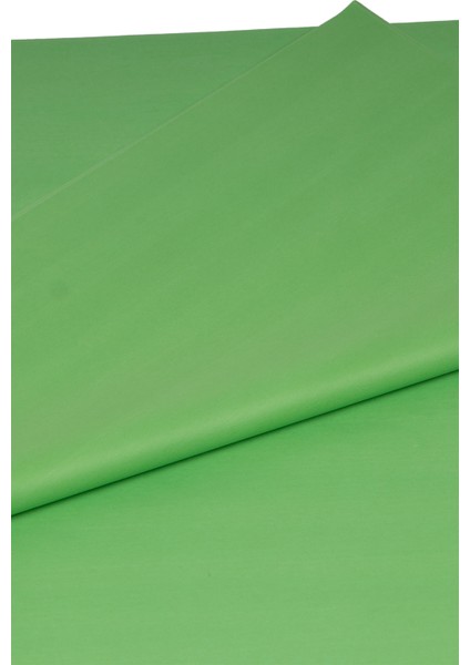 Pelur Kağıt Açık Yeşil 50 x 70 cm 25'li