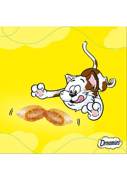 Whiskas Dreamies Kedi Ödülü Mix Somonlu Peynirli 60 gr x 24 Adet