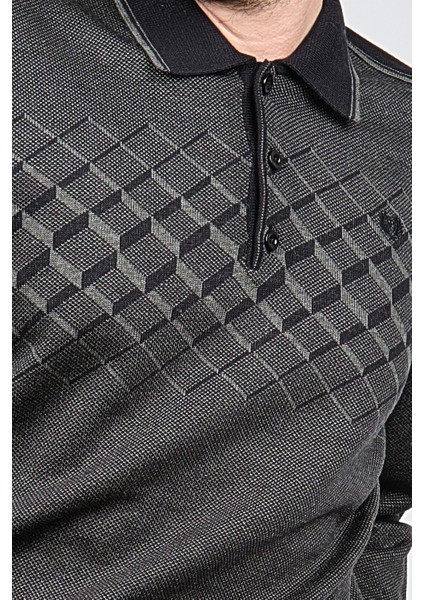 Erkek Desenli Polo Yaka Kazak 1579406 Füme fırsatları