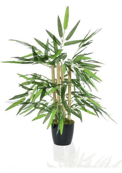 Yapay Ağaç Bambu Ağacı 4 Gövdeli 50X35 Siyah Plastik Saksılı