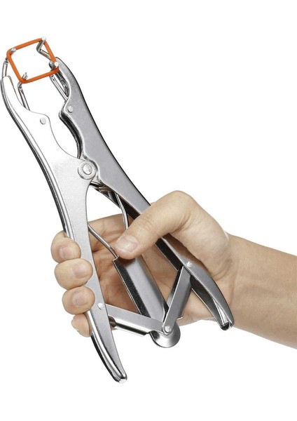 Metal Elastratör Pensi + 50 Adet Lastik