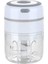 250ML Elektrikli Sarımsak Öğütücü (Yurt Dışından) 1
