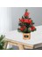 Dekoratif Noel Ağacı Pretty Küçük Noel Ağacı Dekorasyonu (Yurt Dışından) 5
