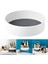 Baharat Organizatör Makyaj Organizatör Baharat Şişeleri Vanity Banyo Tek Katmanlı (Yurt Dışından) 3
