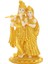 F Fityle Radha Krishna Buda Heykeli Reçine Heykelcik Hindu Tanrıça Idol Deity Hediyeler (Yurt Dışından) 2