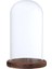 F Fityle Cam Manzara Çiçek LED Işık Süsleme Kapak Dome Ekran Standı _ Brown D (Yurt Dışından) 5