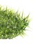 F Fityle Simülasyon Çim Parça Çim Çim Çim Mat Döşeme Duvar Dekor Için 40 cm x 60 cm 11 # (Yurt Dışından) 5