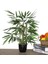 Yapay Ağaç Bambu Ağacı 4 Gövdeli 50X35 Siyah Plastik Saksılı 2