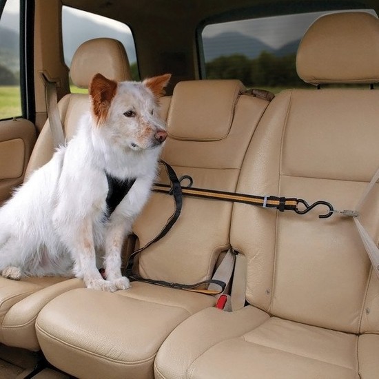 Pet Safe Petsafe Kurgo Oto Zip Line Emniyet Kemeri Fiyatı