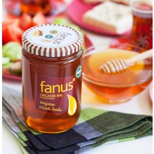 Fanus Organik Çiçek Balı 850 gr