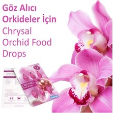 Chrysalis Orkide Besini - Orchid Food Drops (1 Yıl Kullanım Için 6 Doz Besin Damlası)