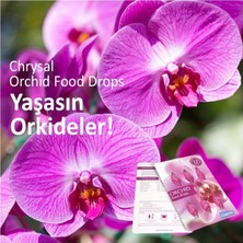 Chrysalis Orkide Besini - Orchid Food Drops (1 Yıl Kullanım Için 6 Doz Besin Damlası)