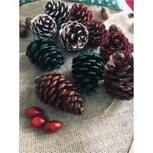 Webcenter  Yılbaşı Konseptli Boyanmış 10'lu Dekoratif Kozalak&dekor Kozalakları&sunum Kozalakları