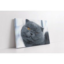 Tablosan Gri Kedi Kanvas Tablo