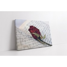 Tablosan Kitabın Arasındaki Gül Kanvas Tablo