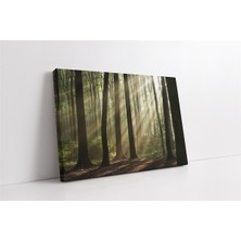 Tablosan Orman Kanvas Tablo