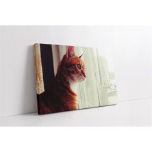 Tablosan Sarı Kedi Kanvas Tablo