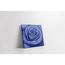 Tablosan Gül ve Üzerindeki Su Damlacıkları Kanvas Tablo