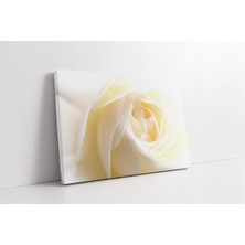 Tablosan Makro Çekim Kanvas Tablo