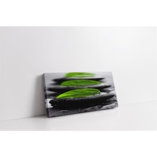 Tablosan Spa Taşları Kanvas Tablo