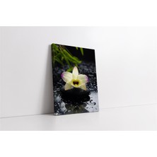 Tablosan Spa Taşları ve Orkide Kanvas Tablo