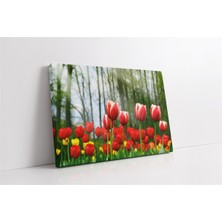 Tablosan Sarı Kırmızı Laleler Kanvas Tablo