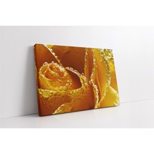 Tablosan Sarı Gül Yakın Çekim Kanvas Tablo