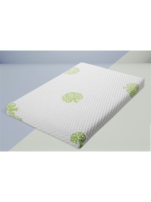 Bucca Pony Park Yatağı