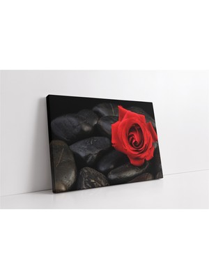 Tablosan Taşların Üzerinde Kırmızı Gül Kanvas Tablo