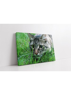 Tablosan Kedi Kanvas Tablo