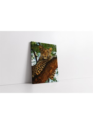 Tablosan Vahşi Doğa Kaplan Kanvas Tablo