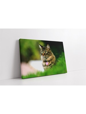 Tablosan Kedi Kanvas Tablo