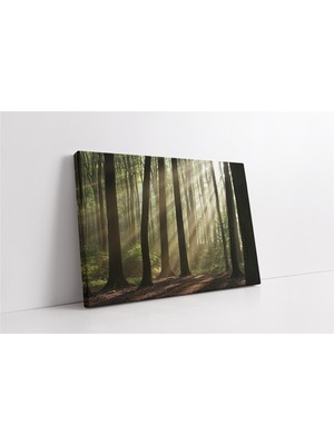 Tablosan Orman Kanvas Tablo